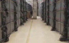 Bitcoin mining farm with rows of high-performance rigs at work under halving impact