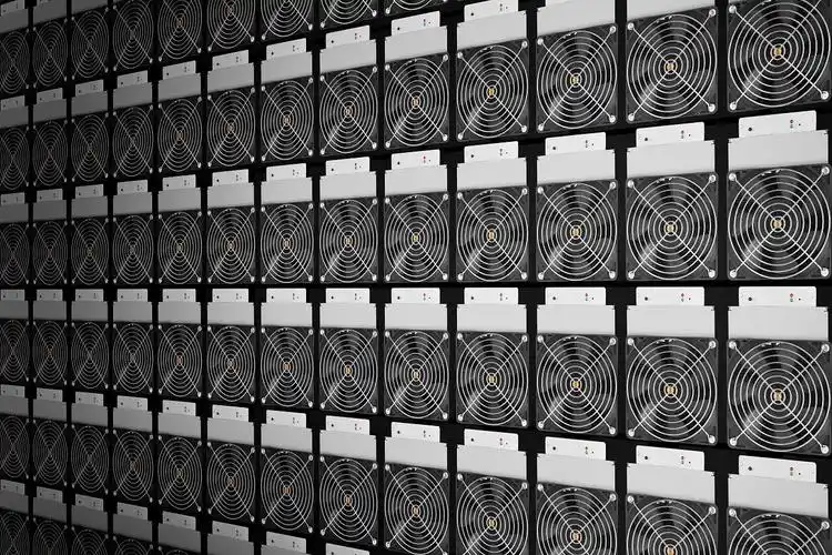 Large scale Whatsminer mining farm