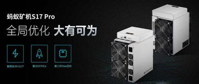 Antminer S19 Mining Rig Operating in a Mining Farm