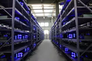 Close-up of ASIC Mining Rig Hardware Component