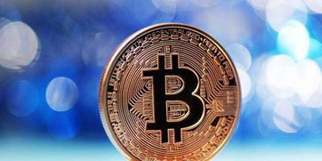 Bitcoin mining farm showcasing active miners processing blockchain transactions